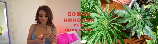 гидра Михайлов