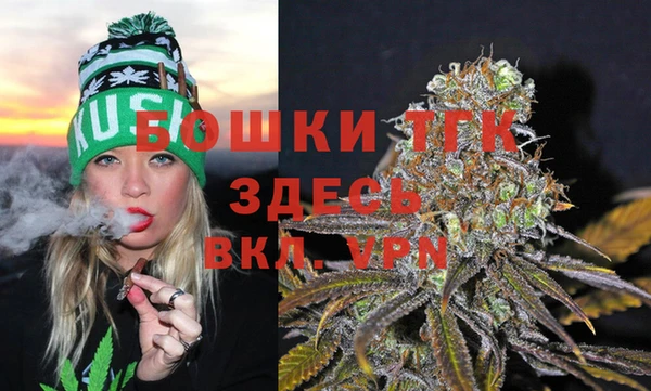 гидра Михайлов