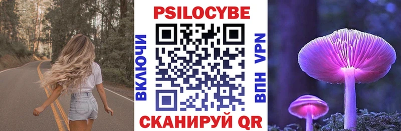 Псилоцибиновые грибы Psilocybe где купить наркотик Воронеж